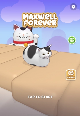 Maxwell Forever - Cat Game by Popa Radu